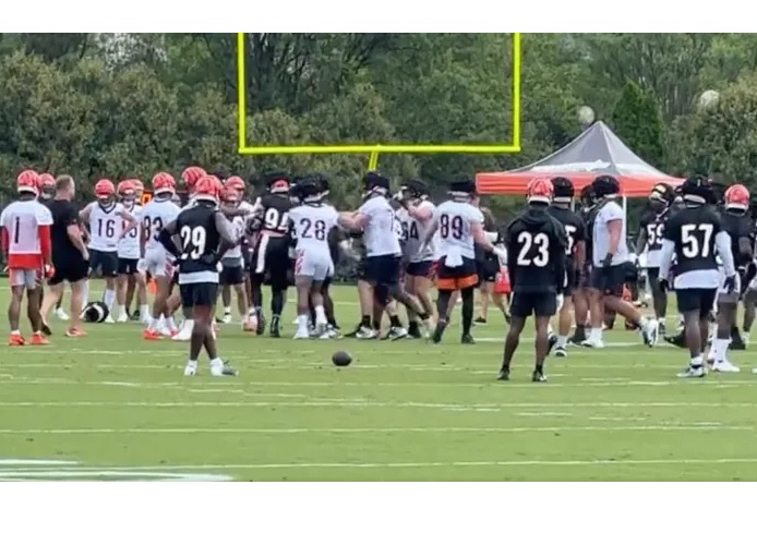 Bengals Have ‘Mini-Scuffle’ On First Day Of Training Camp