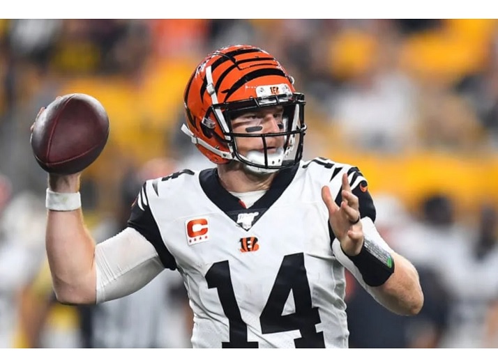 Ex Bengals QB Refuses to Give up on His Career